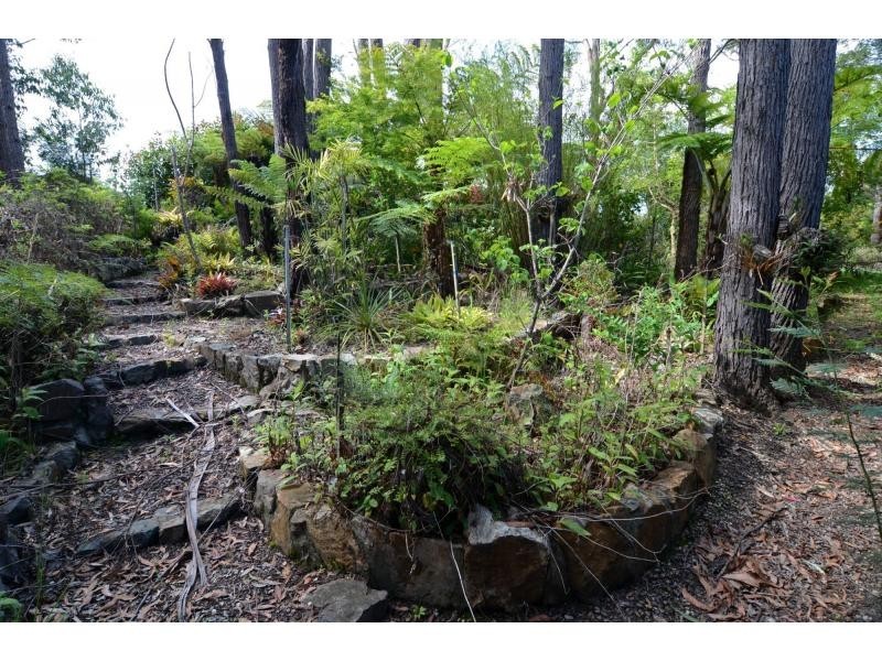 19 Blackwood Lane, Broadwater NSW 2549