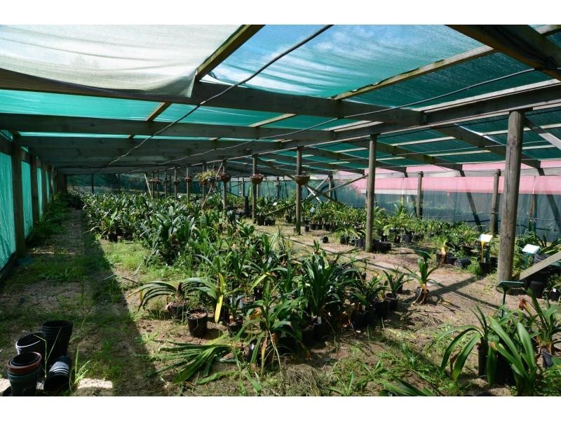 19 Blackwood Lane, Broadwater NSW 2549