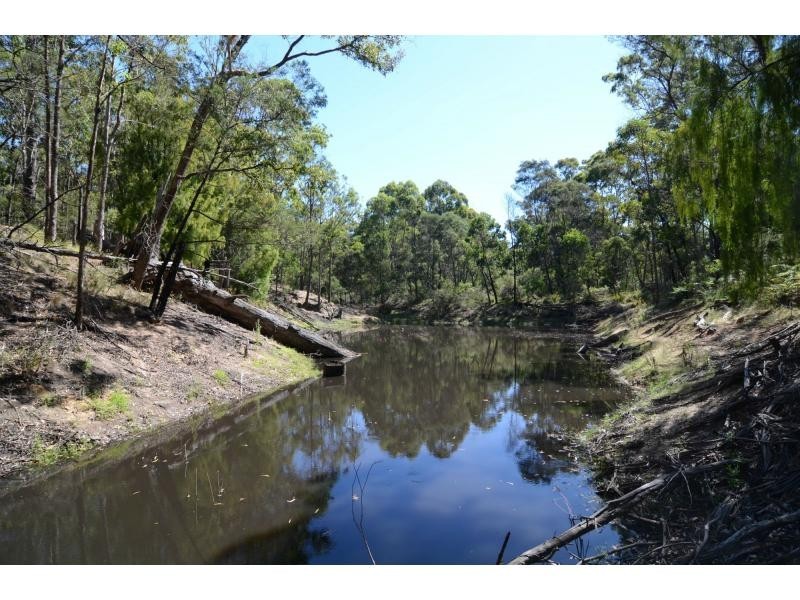 L13 Burragate Road, Wyndham NSW 2550