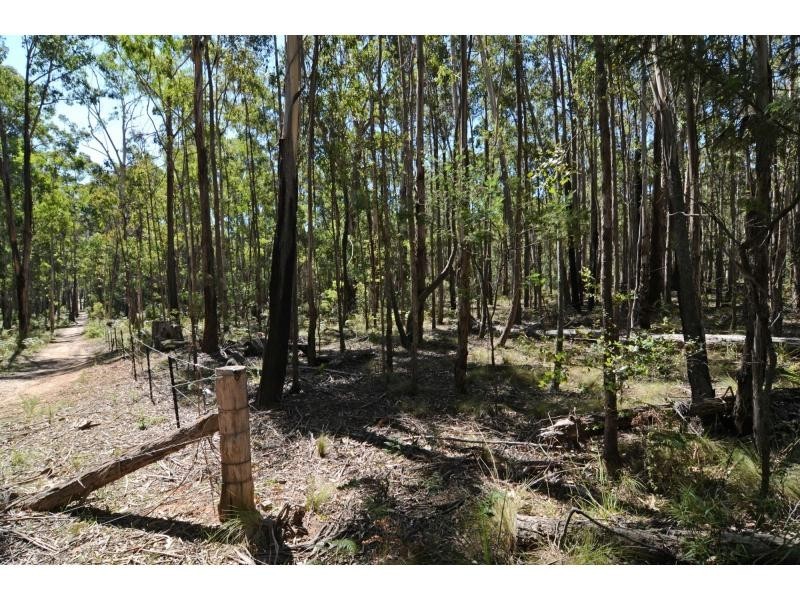 L13 Burragate Road, Wyndham NSW 2550