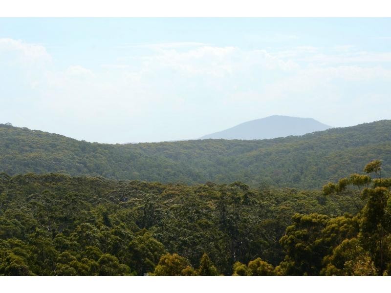 22 Adelaide Avenue, Wonboyn NSW 2551