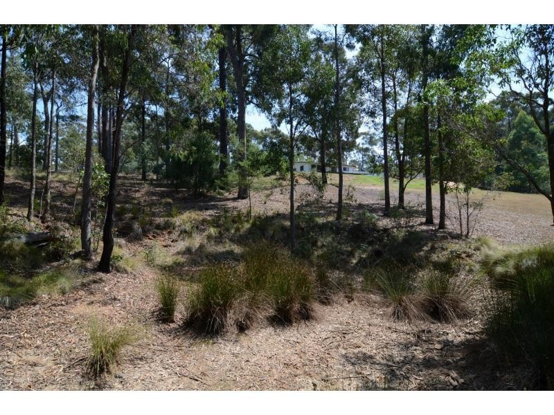 218 Back Creek Road, Nethercote NSW 2549