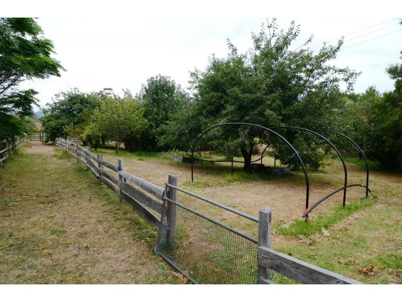 19 Gordon Street, Wyndham NSW 2550