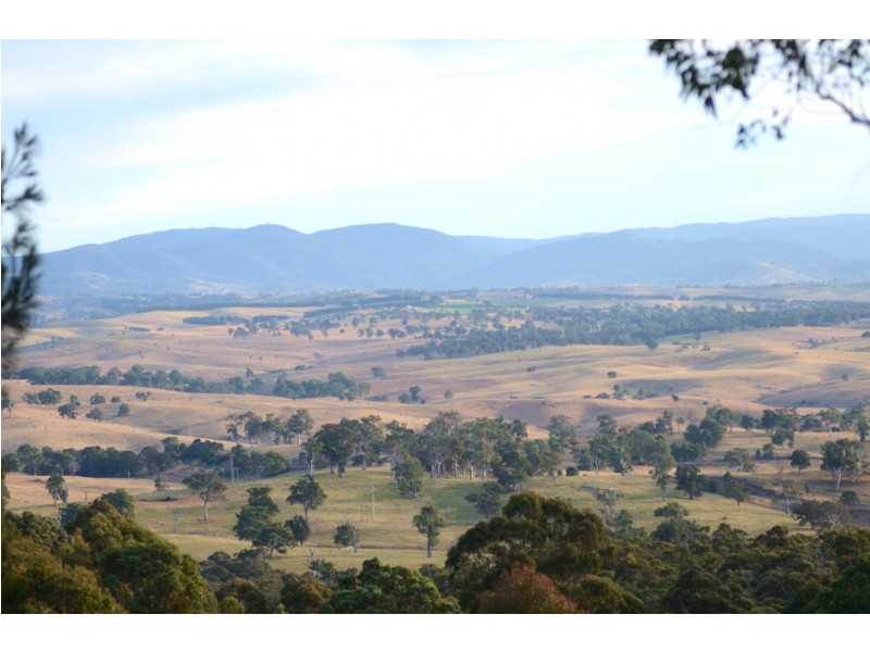 259 Black Range Rd, Black Range NSW 2550
