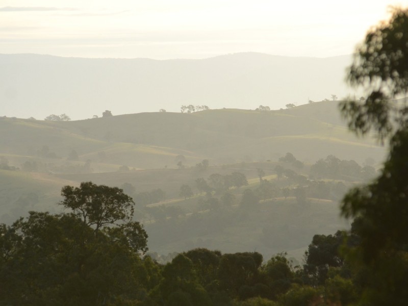 259 Black Range Rd, Black Range NSW 2550