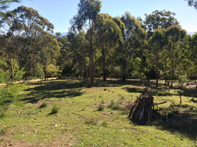 259 Black Range Rd, Black Range NSW 2550