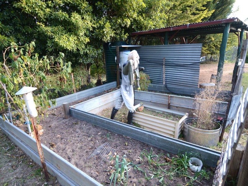 259 Black Range Rd, Black Range NSW 2550