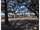 999 Back Creek Rd, Lochiel NSW 2549