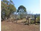 999 Back Creek Rd, Lochiel NSW 2549