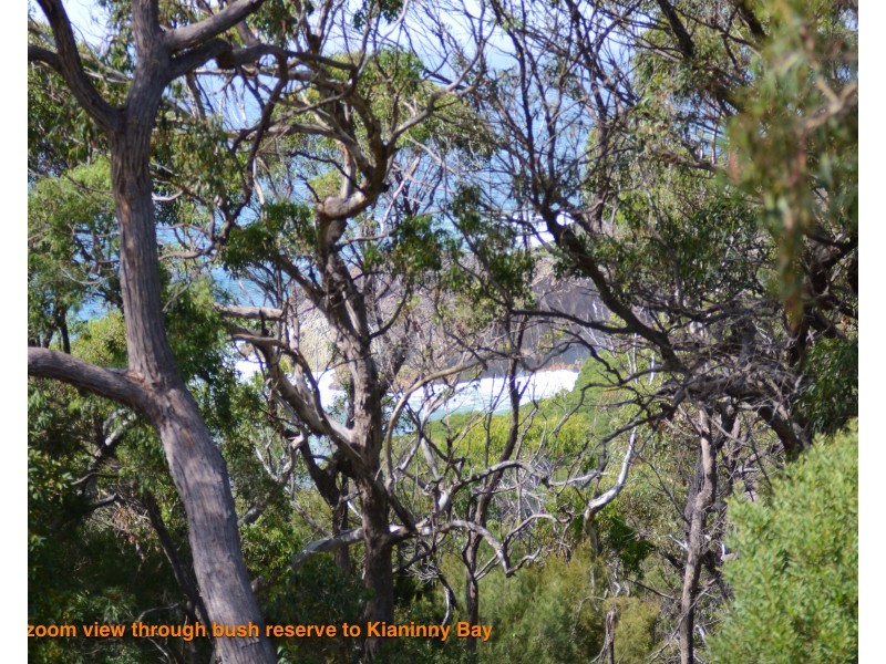 42 Panamuna Rd, Tathra NSW 2550