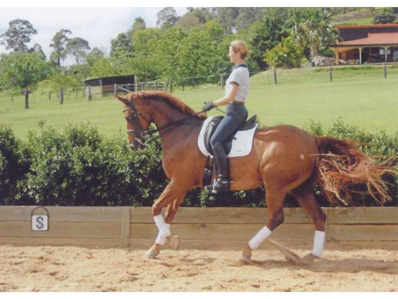 384 Blackall Range Road, Woombye QLD 4559