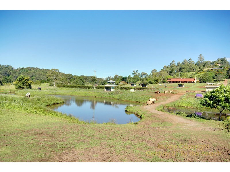 384 Blackall Range Road, Woombye QLD 4559