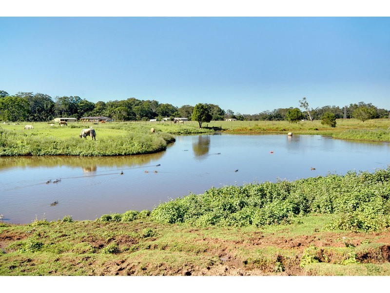 384 Blackall Range Road, Woombye QLD 4559