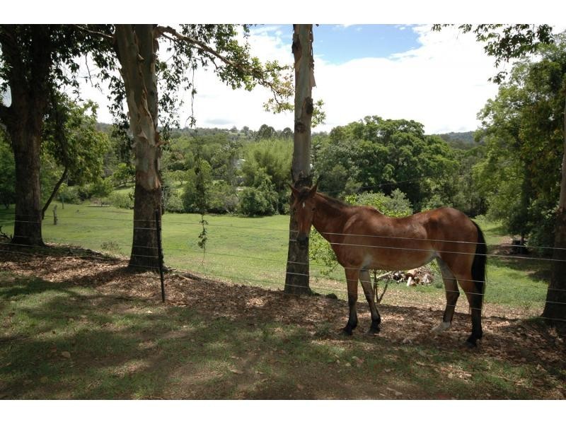 11 Simba Road, West Woombye QLD 4559
