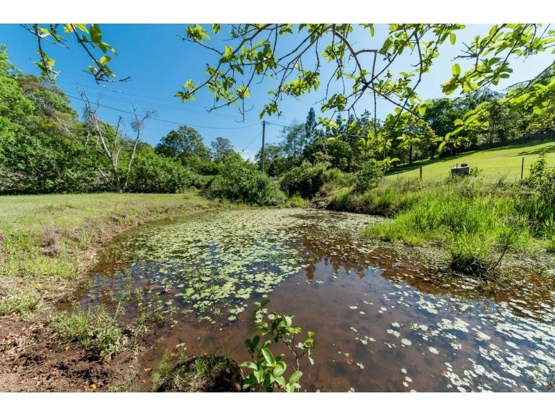 11 Simba Road, West Woombye QLD 4559