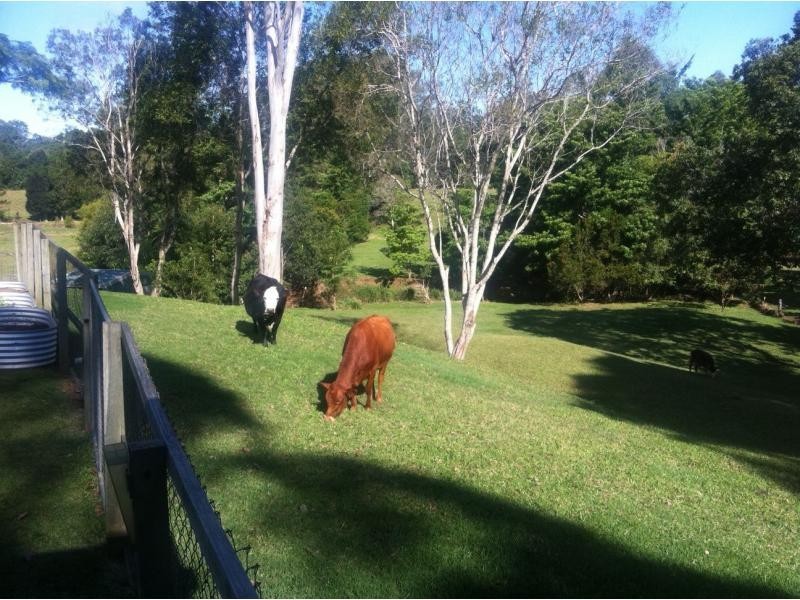 80 Hunchy Road, Palmwoods QLD 4555