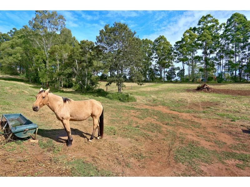 54 Reids Road, West Woombye QLD 4559