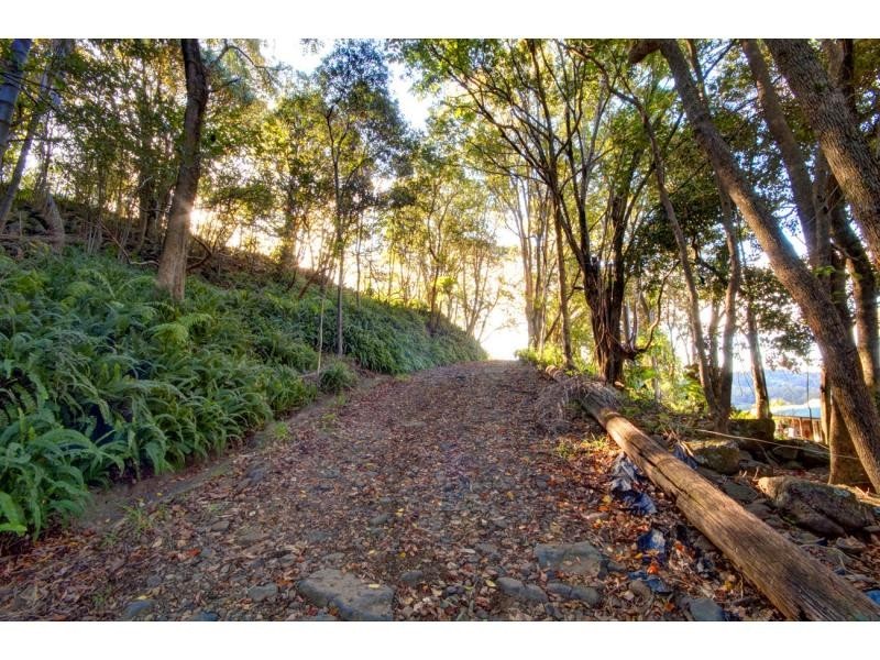 104 Simba Road, West Woombye QLD 4559