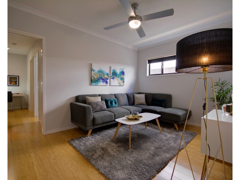 42 Histed Tce, Bli Bli QLD 4560