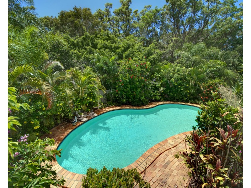 5 Nardoo Ct, Mooloolaba QLD 4557