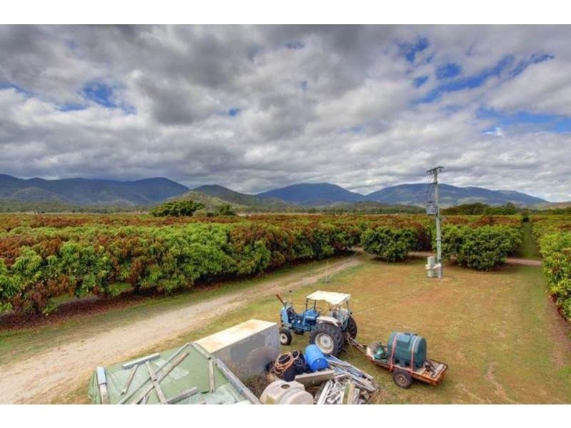 15 Williams Road, Alligator Creek QLD 4816