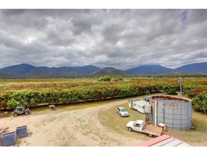 15 Williams Road, Alligator Creek QLD 4816