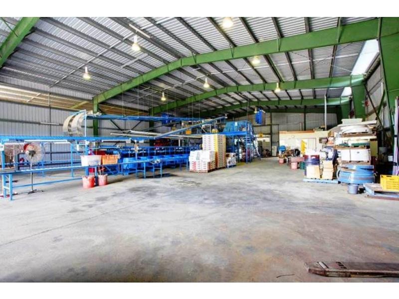 15 Williams Road, Alligator Creek QLD 4816