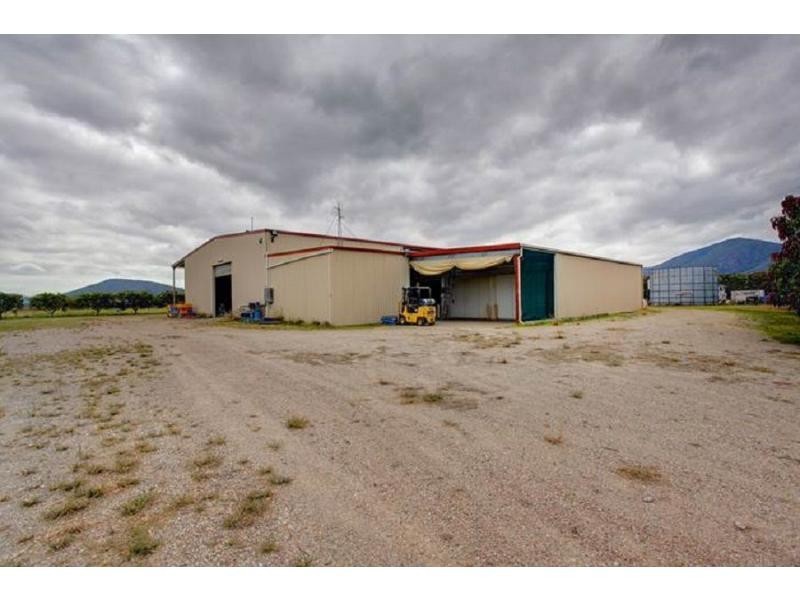 15 Williams Road, Alligator Creek QLD 4816