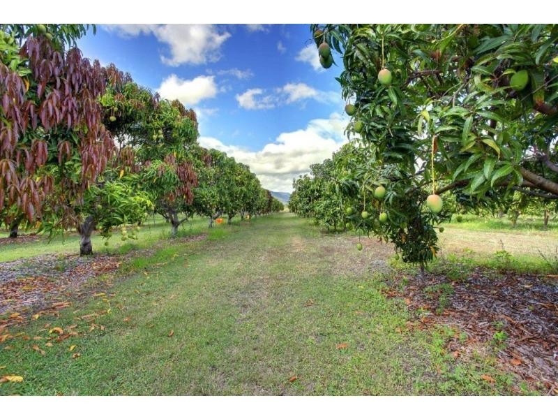 15 Williams Road, Alligator Creek QLD 4816