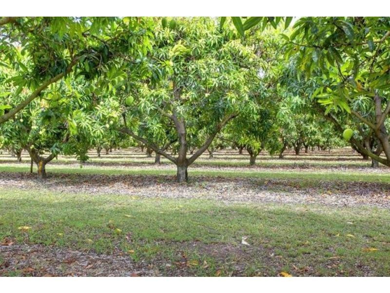 15 Williams Road, Alligator Creek QLD 4816