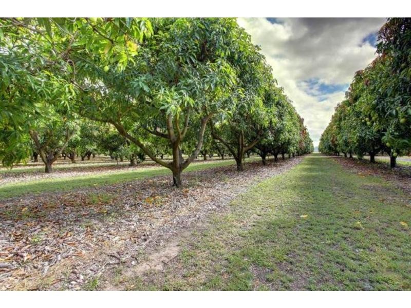 15 Williams Road, Alligator Creek QLD 4816