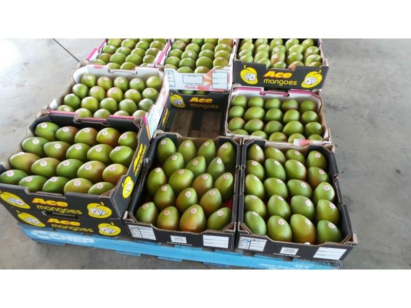 184 Dingo Park Road, Woodstock QLD 4816