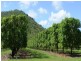 184 Dingo Park Road, Woodstock QLD 4816