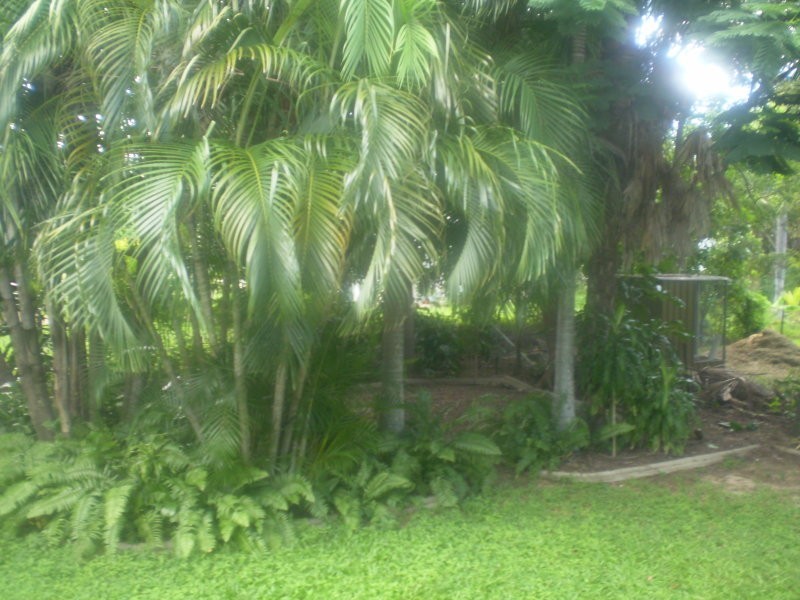 10 Azalea Street, Aitkenvale QLD 4814