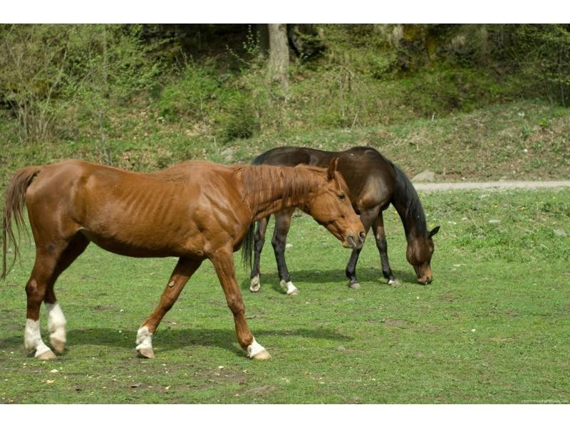 1801 Lakes Road, North Dandalup WA 6207