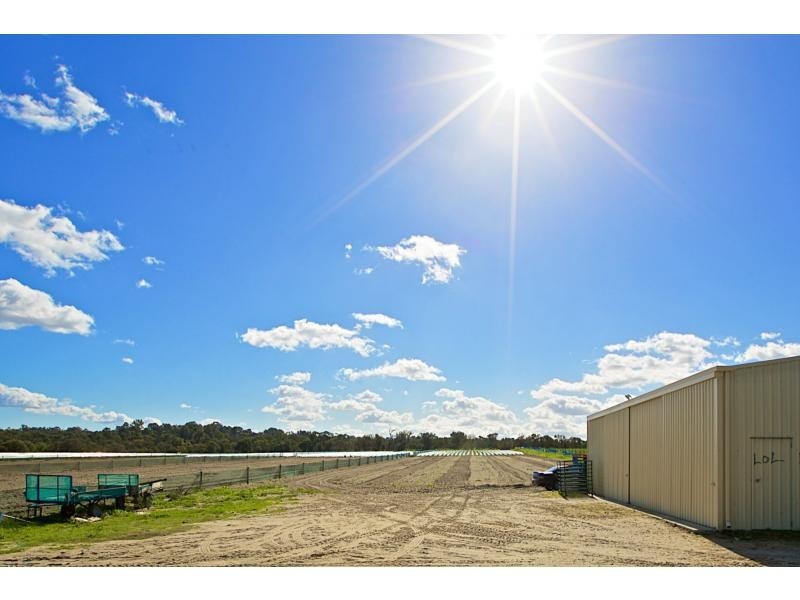 223 Elliott, Wanneroo WA 6065