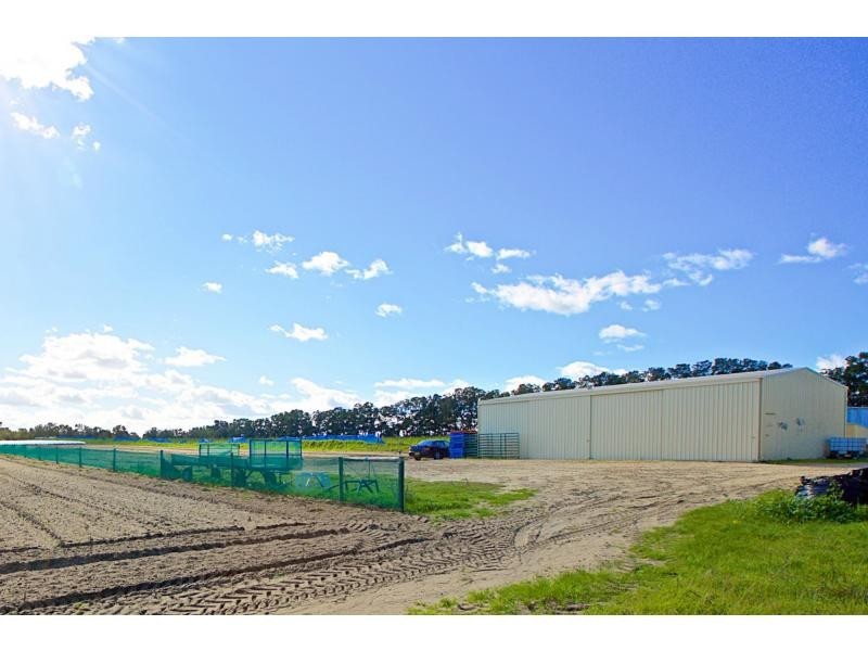 223 Elliott, Wanneroo WA 6065