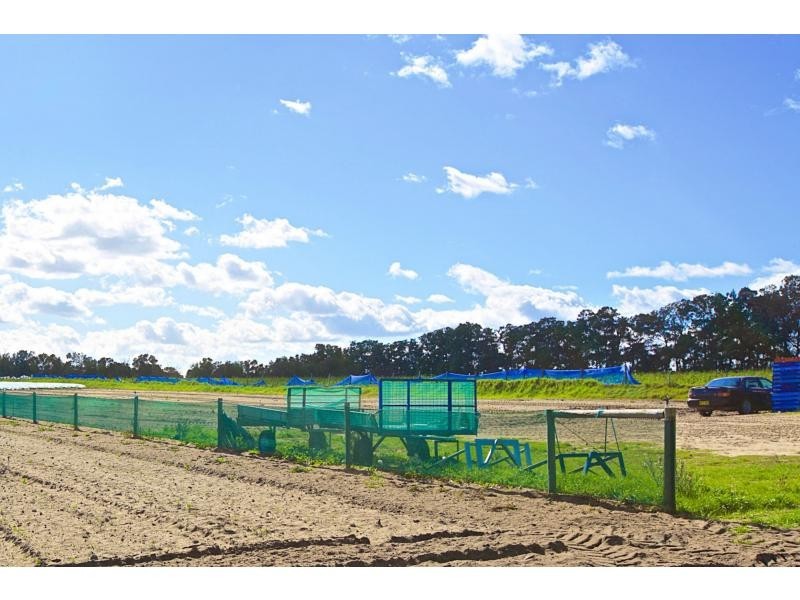 223 Elliott, Wanneroo WA 6065