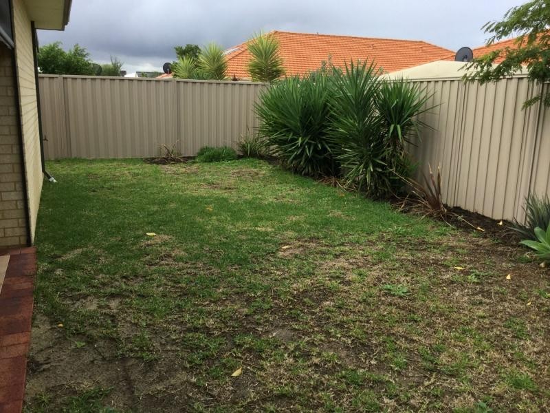 12 Tenterfield Green, Harrisdale WA 6112