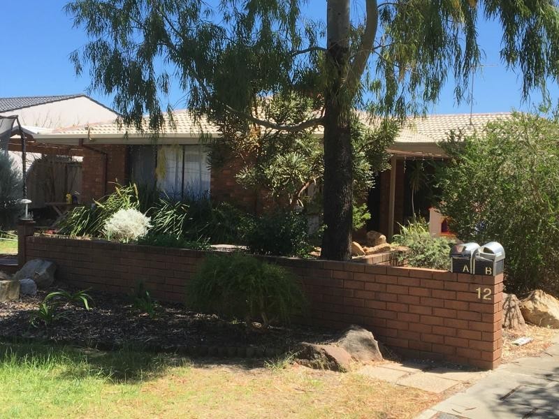12A Potter Avenue, Salter Point WA 6152
