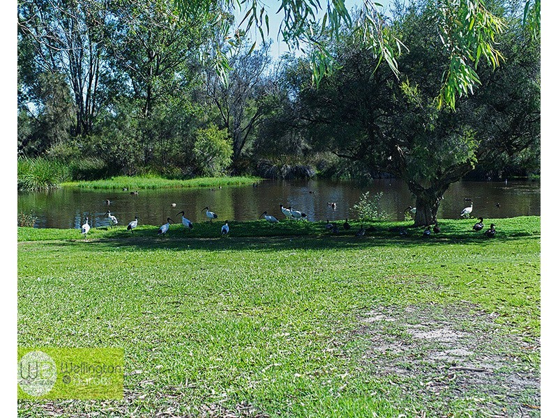 7 Galway Gr, Waterford WA 6152