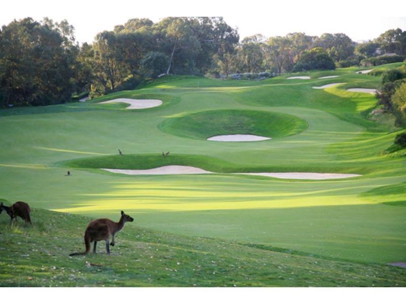 4 Aral Court, Iluka WA 6028