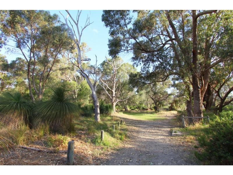 82 Arnott Street, Trigg WA 6029