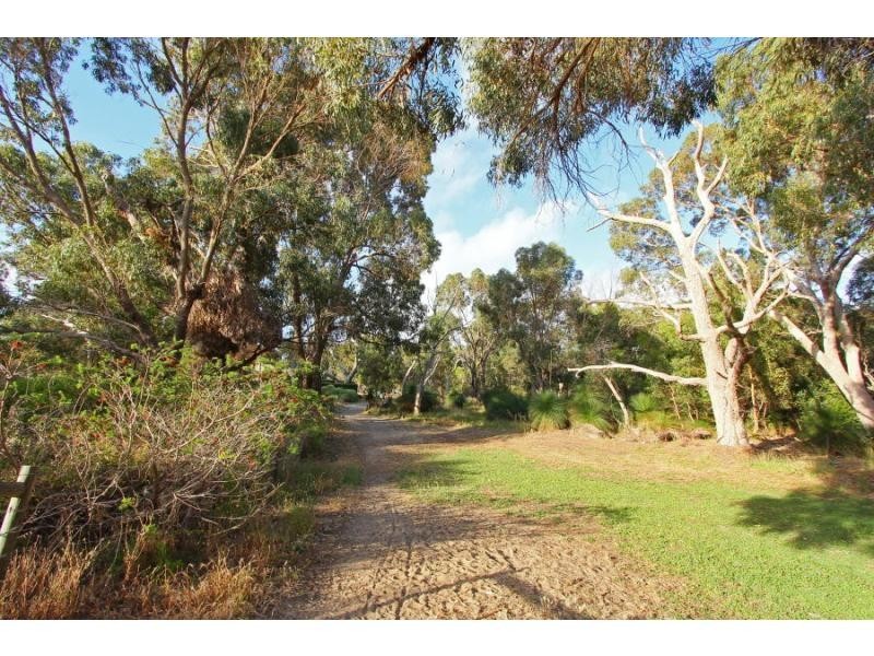 82 Arnott Street, Trigg WA 6029