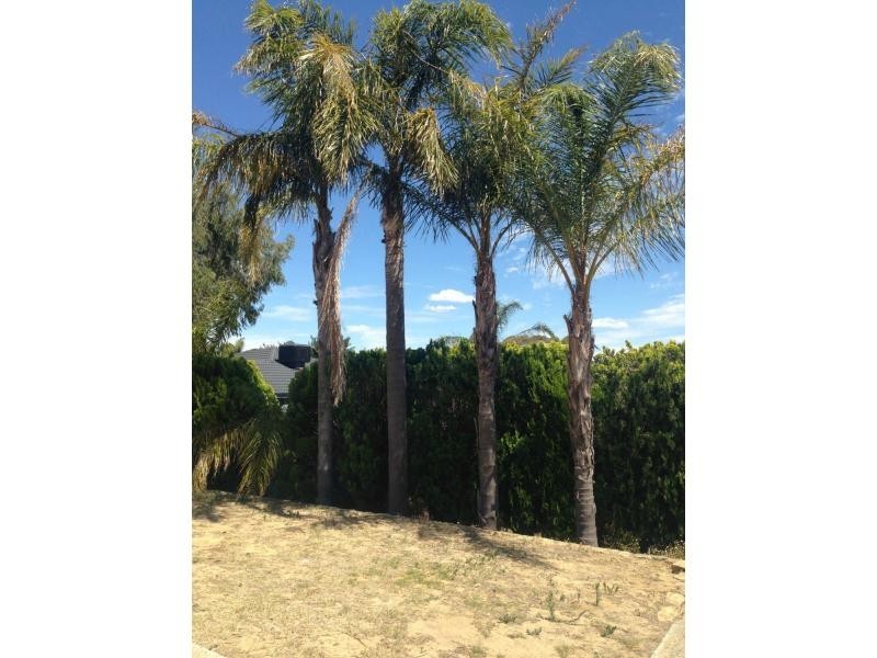 42 Glenfield Road, Kingsley WA 6026