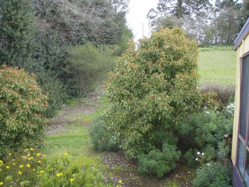 3 Central Springs, Daylesford VIC 3460