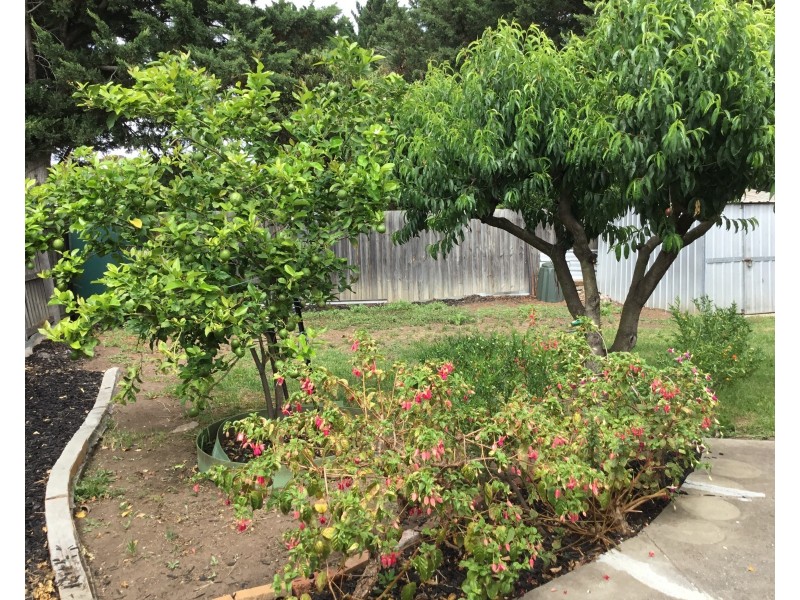 13 Grantchester Ave, Keilor East VIC 3033