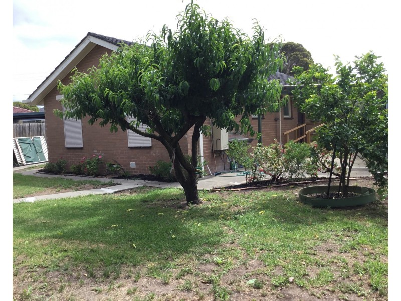 13 Grantchester Ave, Keilor East VIC 3033