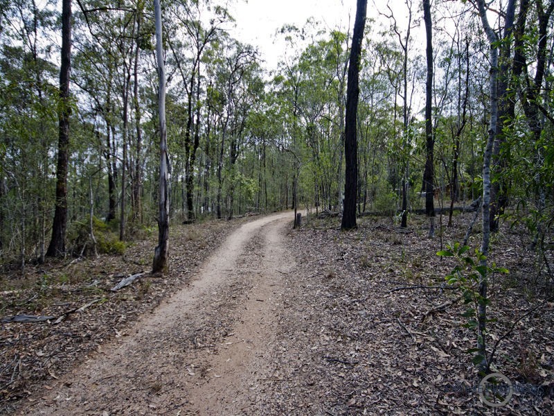 15 Evergreen Lane, Pine Mountain QLD 4306