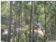 173 Honeyeater Drive, Greenbank QLD 4124